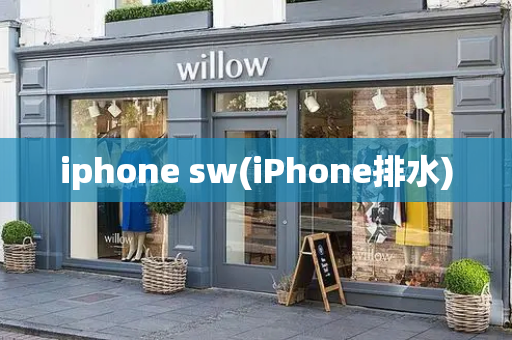 iphone sw(iPhone排水)