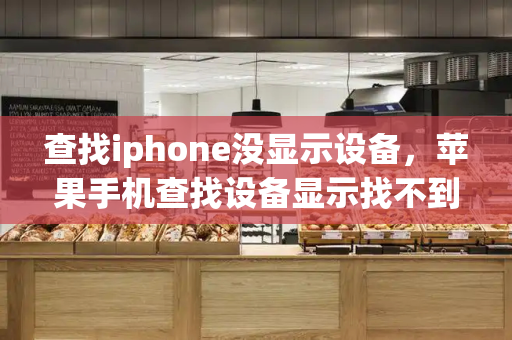 查找iphone没显示设备，苹果手机查找设备显示找不到位置-第1张图片-星选测评