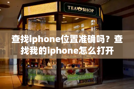 查找iphone位置准确吗？查找我的iphone怎么打开-第1张图片-星选测评