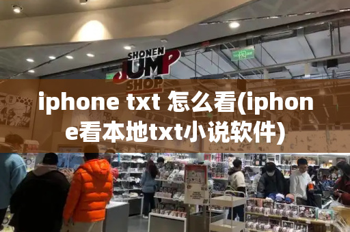 iphone txt 怎么看(iphone看本地txt小说软件)