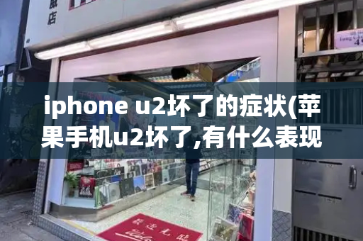 iphone u2坏了的症状(苹果手机u2坏了,有什么表现)-第1张图片-星选测评