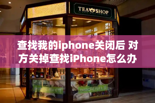 查找我的iphone关闭后 对方关掉查找iPhone怎么办-第1张图片-星选测评
