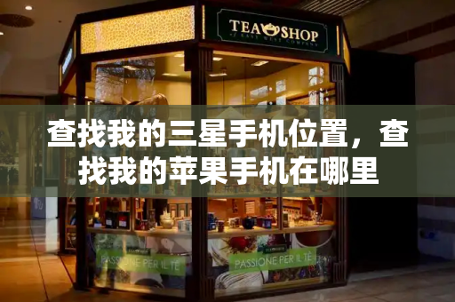 查找我的三星手机位置，查找我的苹果手机在哪里-第1张图片-星选测评
