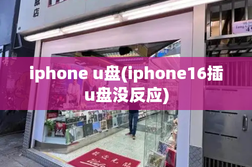 iphone u盘(iphone16插u盘没反应)-第1张图片-星选测评