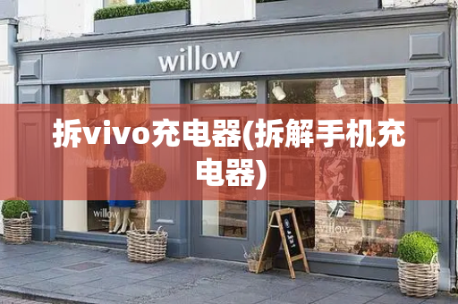 拆vivo充电器(拆解手机充电器)-第1张图片-星选测评