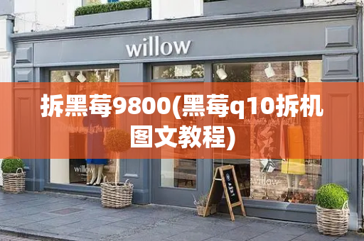 拆黑莓9800(黑莓q10拆机图文教程)