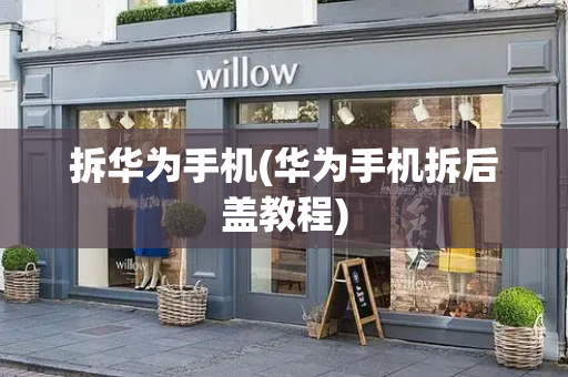 拆华为手机(华为手机拆后盖教程)-第1张图片-星选测评