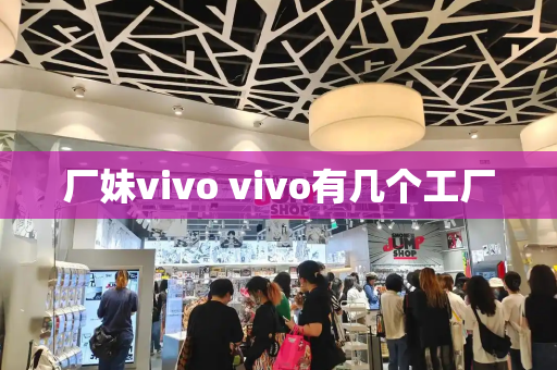 厂妹vivo vivo有几个工厂