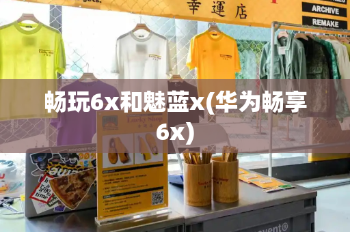 畅玩6x和魅蓝x(华为畅享6x)-第1张图片-星选测评