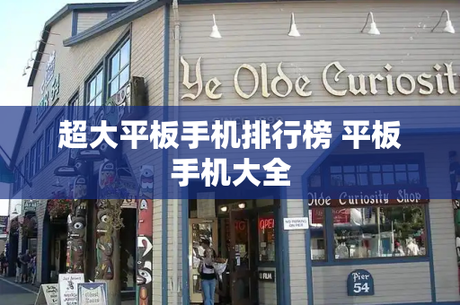 超大平板手机排行榜 平板手机大全-第1张图片-星选测评