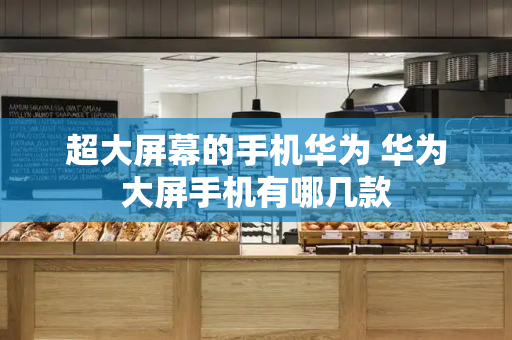 超大屏幕的手机华为 华为大屏手机有哪几款-第1张图片-星选测评