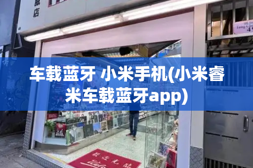 车载蓝牙 小米手机(小米睿米车载蓝牙app)-第1张图片-星选测评