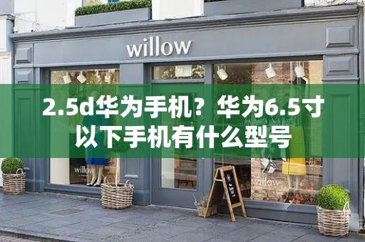 2.5d华为手机？华为6.5寸以下手机有什么型号