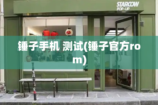 锤子手机 测试(锤子官方rom)-第1张图片-星选测评