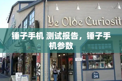 锤子手机 测试报告，锤子手机参数