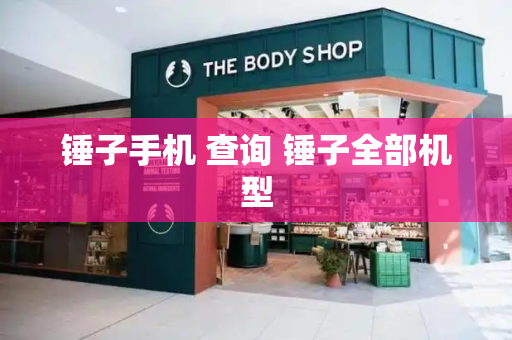 锤子手机 查询 锤子全部机型