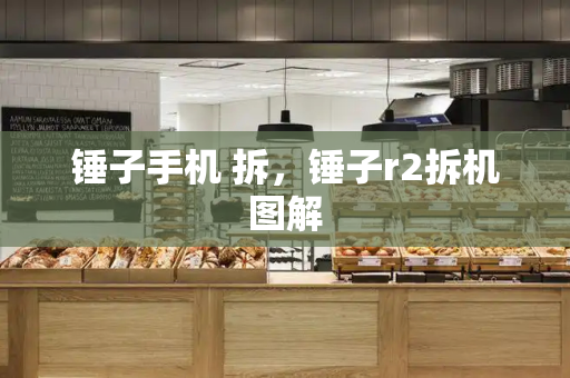 锤子手机 拆，锤子r2拆机图解-第1张图片-星选测评