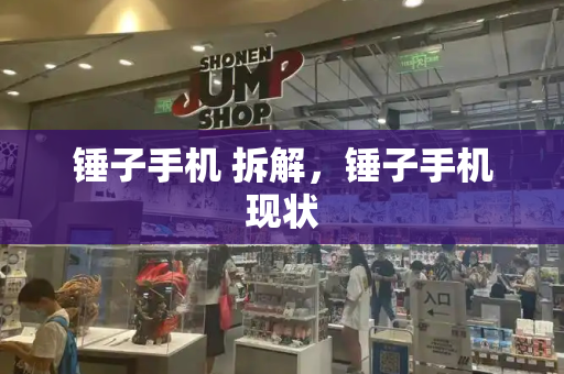 锤子手机 拆解，锤子手机现状-第1张图片-星选测评