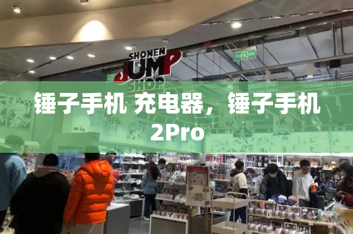 锤子手机 充电器，锤子手机2Pro