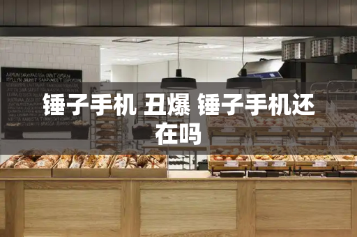 锤子手机 丑爆 锤子手机还在吗-第1张图片-星选测评