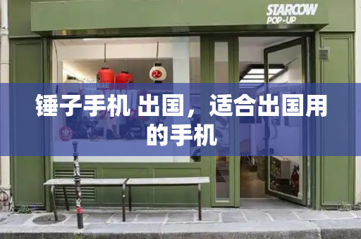 锤子手机 出国，适合出国用的手机-第1张图片-星选测评
