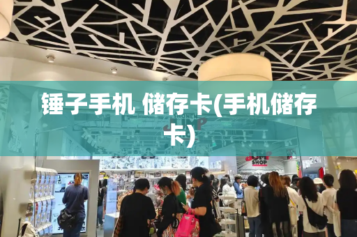 锤子手机 储存卡(手机储存卡)