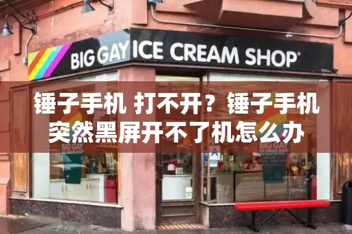 锤子手机 打不开？锤子手机突然黑屏开不了机怎么办-第1张图片-星选测评