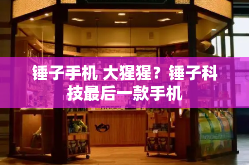 锤子手机 大猩猩？锤子科技最后一款手机