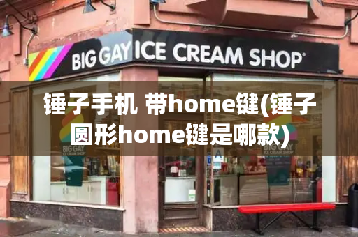 锤子手机 带home键(锤子圆形home键是哪款)