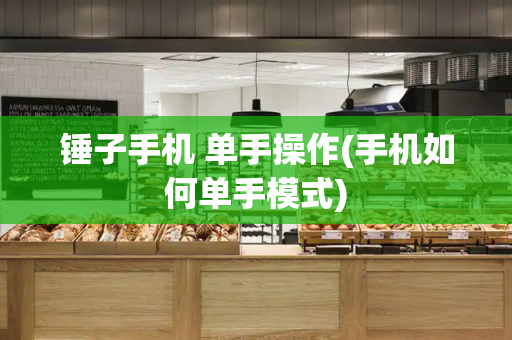 锤子手机 单手操作(手机如何单手模式)-第1张图片-星选测评