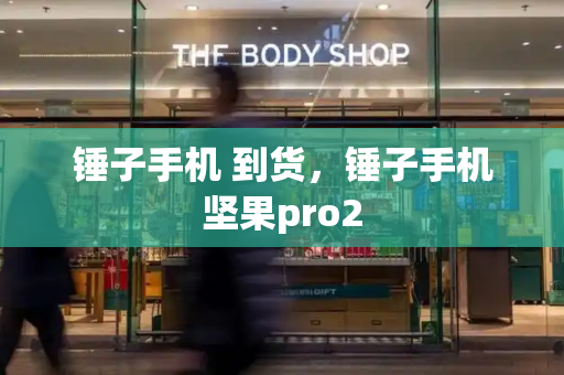 锤子手机 到货，锤子手机坚果pro2