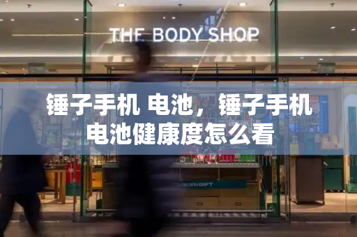 锤子手机 电池，锤子手机电池健康度怎么看