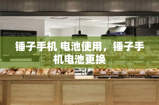 锤子手机 电池使用，锤子手机电池更换-第1张图片-星选测评