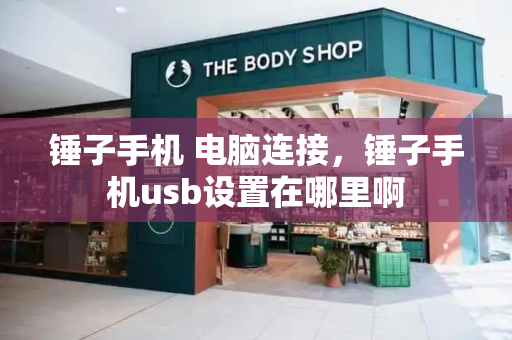 锤子手机 电脑连接，锤子手机usb设置在哪里啊-第1张图片-星选测评