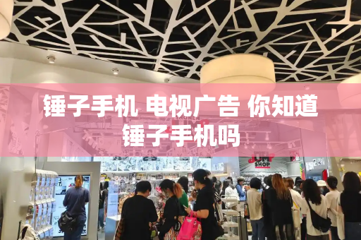 锤子手机 电视广告 你知道锤子手机吗