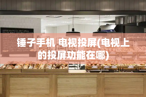 锤子手机 电视投屏(电视上的投屏功能在哪)