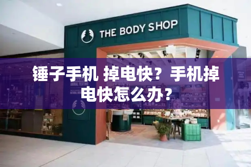 锤子手机 掉电快？手机掉电快怎么办？-第1张图片-星选测评