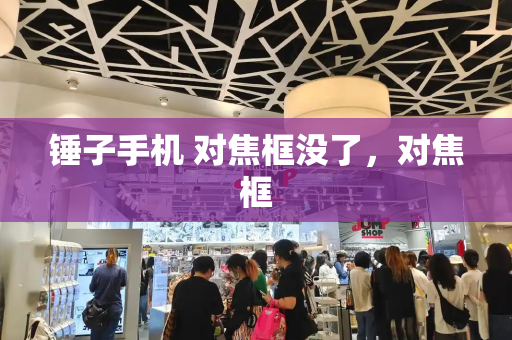 锤子手机 对焦框没了，对焦框