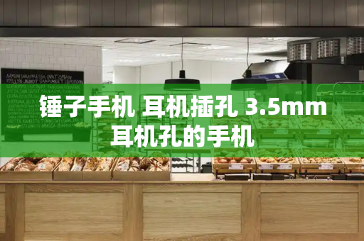 锤子手机 耳机插孔 3.5mm耳机孔的手机-第1张图片-星选测评