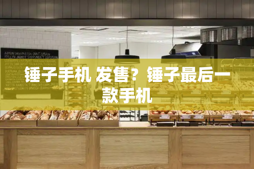 锤子手机 发售？锤子最后一款手机-第1张图片-星选测评