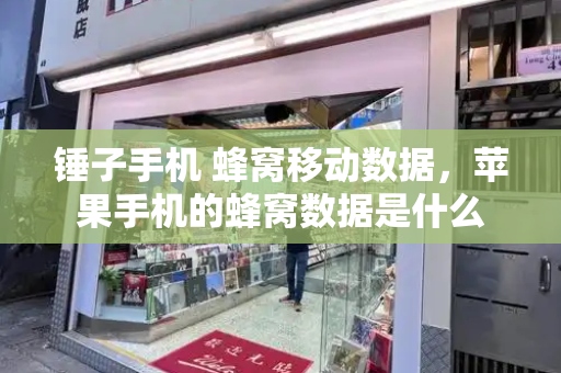 锤子手机 蜂窝移动数据，苹果手机的蜂窝数据是什么