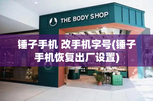锤子手机 改手机字号(锤子手机恢复出厂设置)-第1张图片-星选测评