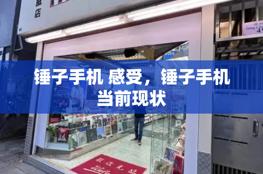 锤子手机 感受，锤子手机当前现状