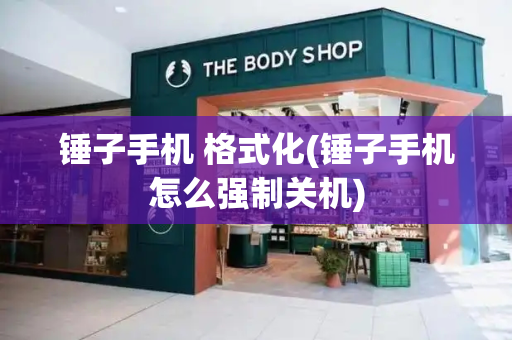 锤子手机 格式化(锤子手机怎么强制关机)