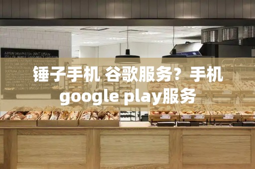 锤子手机 谷歌服务？手机google play服务-第1张图片-星选测评