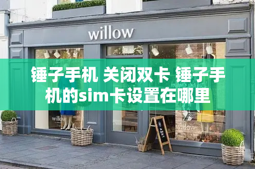 锤子手机 关闭双卡 锤子手机的sim卡设置在哪里