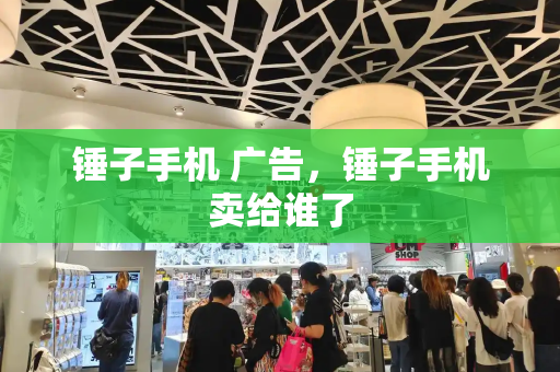锤子手机 广告，锤子手机卖给谁了-第1张图片-星选测评