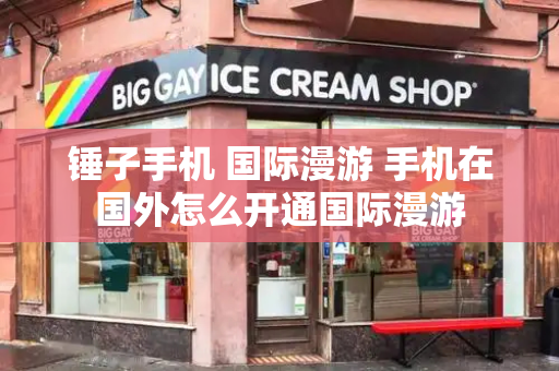 锤子手机 国际漫游 手机在国外怎么开通国际漫游-第1张图片-星选测评