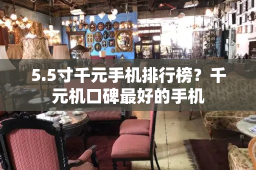 5.5寸千元手机排行榜？千元机口碑最好的手机-第1张图片-星选测评