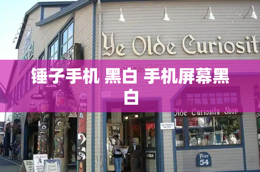锤子手机 黑白 手机屏幕黑白